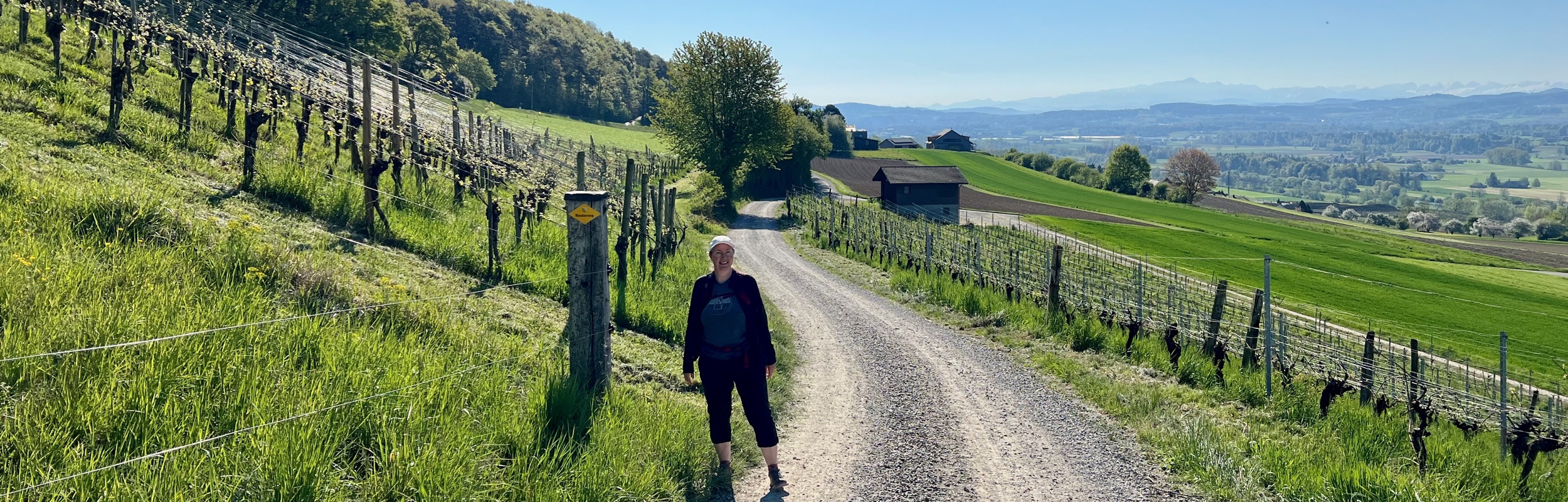 Hiking the Thurgauer Rebenweg Trail –  Oberneunforn to Frauenfeld + Visit to Karthaus Ittingen