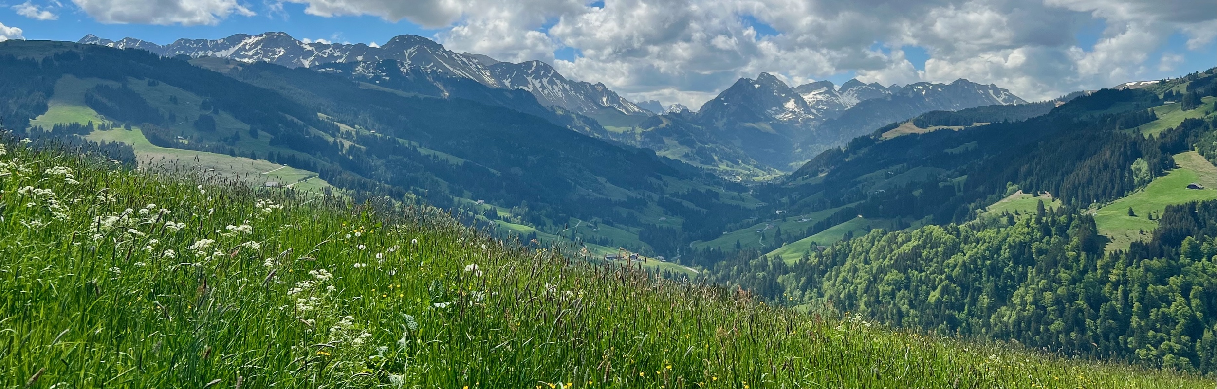Hiking the Alpine Panorama Trail – Stage 19   Guggisberg to Schwarzsee