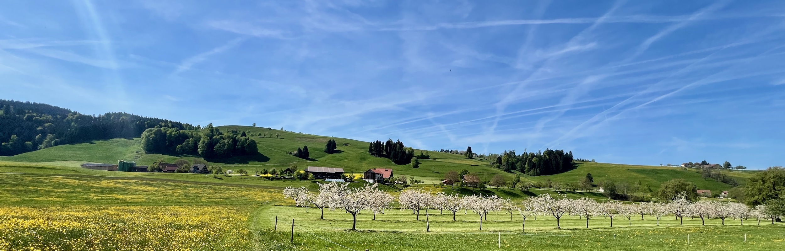 Hiking a Zug Cherry Blossom Tour – Menzingen to Zug