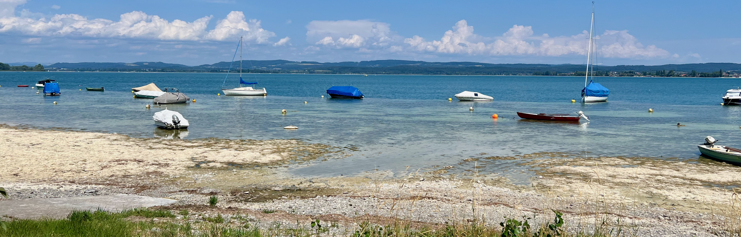 Biking the Bodensee Radweg – Stage 6 Kreuzlingen to Stein Am Rhein