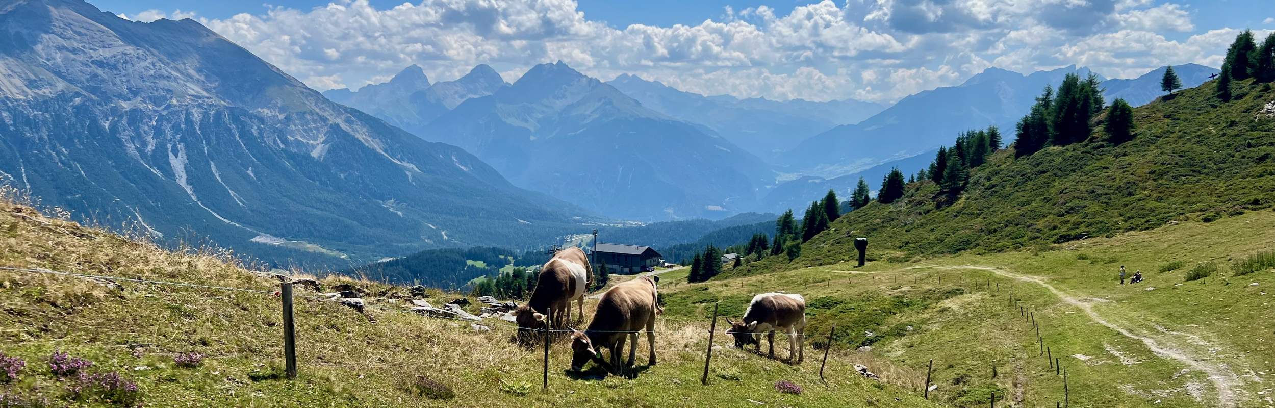 Hiking the Heidbüel-Tgantieni-Höhenweg Trail + Pradaschier Mountain Coaster